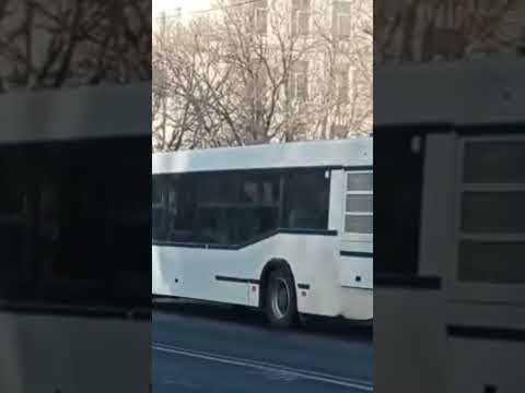 МАЗ 103.465 157