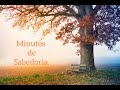 10  minutos de sabedoria   carlos torres pastorino