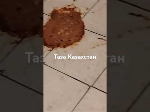 Уровень культуры астанчан Столичный лоск Общество в Казахстане Нулевая терпимость #правопорядок #дом