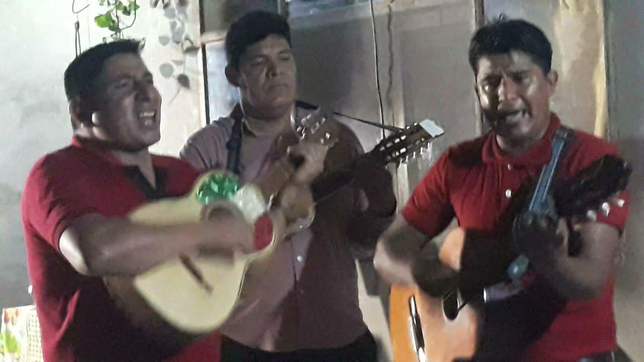 rosita,Gabriela,estela,etc...huaiños enganchados