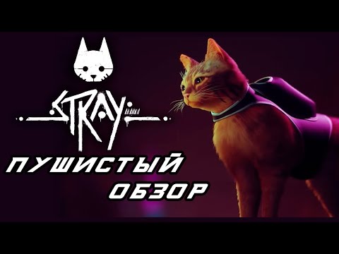 Видео: STRAY. Пушистый обзор ИГРЫ ГОДА 2022