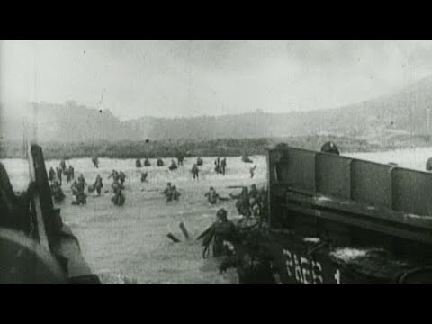 Fighting for Freedom - Stock Footage