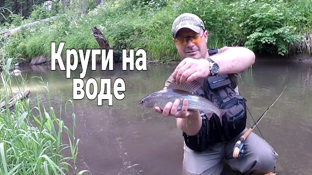 Нахлыст.Круги на воде.Ловля на сухую мушку  форели и хариуса / Small stream fly fishing.Rising fish.