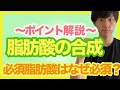 【脂肪酸の合成】過程を知ると必須脂肪酸の意味がわかる!飽和脂肪酸から不飽和脂肪酸まで重要ポイントをマスターしよう!