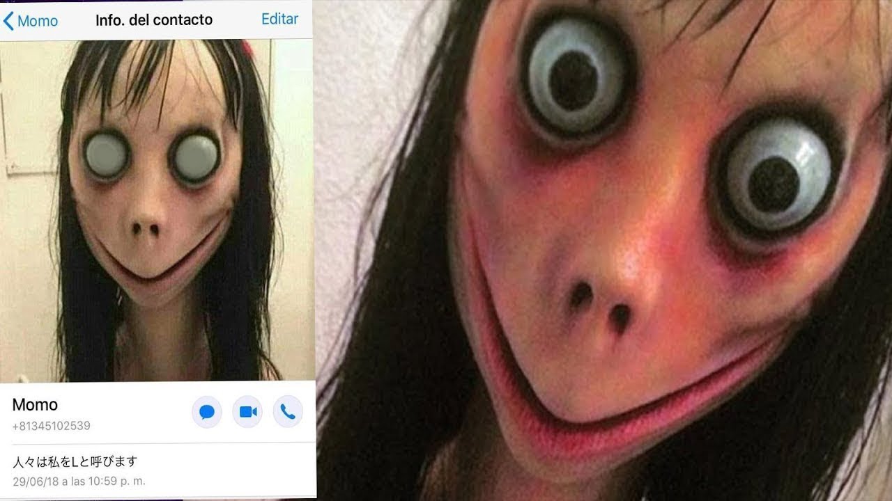 momo whatsapp momo whatsapp