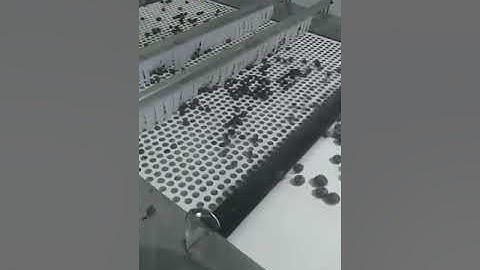 Blueberry sorting equipment fruit grading machine blueberry sorter blueberry hole calibrator