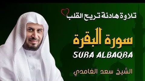 الربع الثامن من الجزء الاول فى سوره البقره للشيخ سعد الغامدي  سمع وقراءة 
