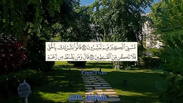 إن المتقين في جنات وعيون |تلاوة هادئة من سورة الحجر #طب_القلوب #tb_alqlub