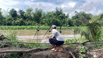 Câu Cá Tra Sông | Quăng Câu Mà Có Ăn Có Dính Là Được Nè | Fishing Miền Tây