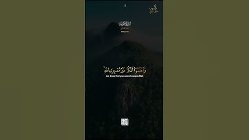 بداية سورة التوبة || ماهر المعيقلي