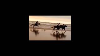 말타고 신나게 달리자. 승마운동은 다이어트운동이다. 승마 구보 외승비만 살빼기 다이어트 운동 다이어트 다이어트운동