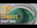Palm Wax Candle Experiment | Part Two