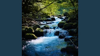Tranquil Stream Focus Harmony