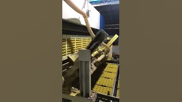 High Efficiency Egg Tray Production Line from Shuanghuan Machinery