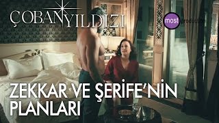 Çoban Yıldızı - Zekkar Ve Şerifenin Planları