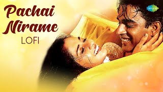 Pachai Nirame - Lofi | Alaipayuthey | Madhavan, Shalini | A R Rahman | Mani Ratnam