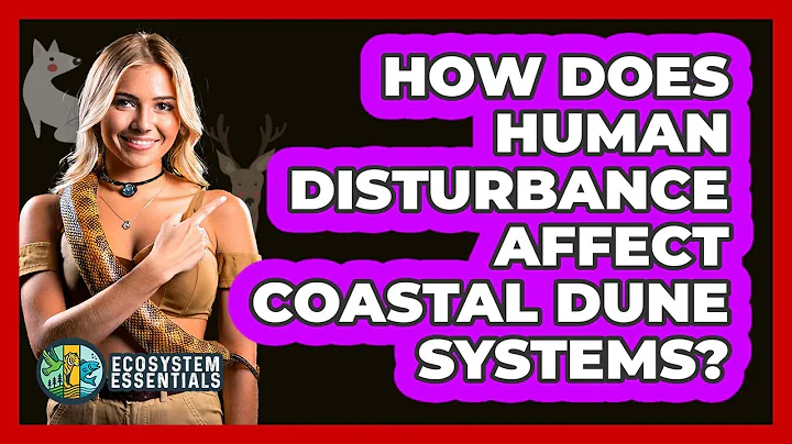 How Does Human Disturbance Affect Coastal Dune Systems? - Ecosystem Essentials
