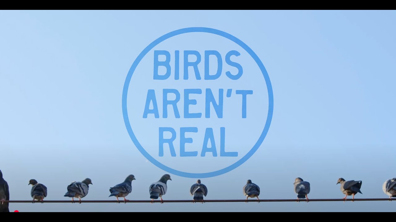 Birds Aren't Real