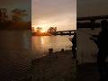 Вечерняя рыбалка. Попался маленький сазанчик. #моярыбалка #fishing #рыбалка #карась #сазан