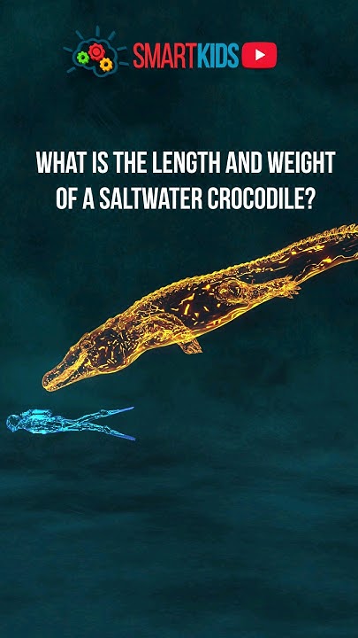 🐊 What is the length and weight of a saltwater crocodile? - YouTube