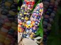 Top 5 Most Beautiful Fruits on Earth – Too Stunning to Eat!