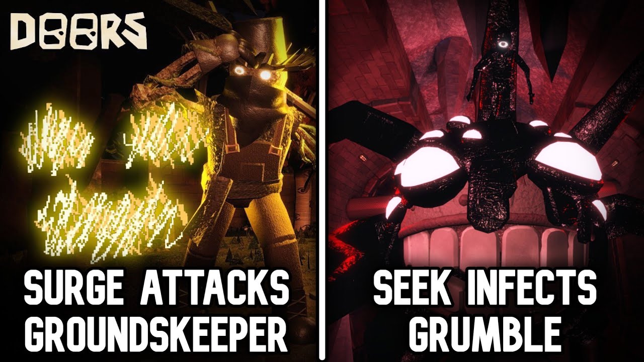 EVERY ENTITY INTERACTION In DOORS Explained!