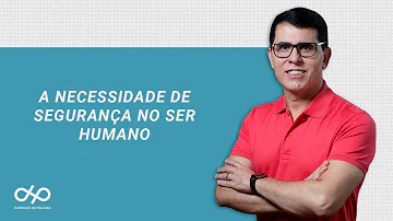Como transparece a necessidade de segurança?