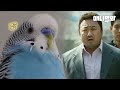 드디어 얌전한 앵무새 보여드립니다. 그런데 형사님들은 아니라네요.ㅣWhat A Docile Parrot Did In The Police Station