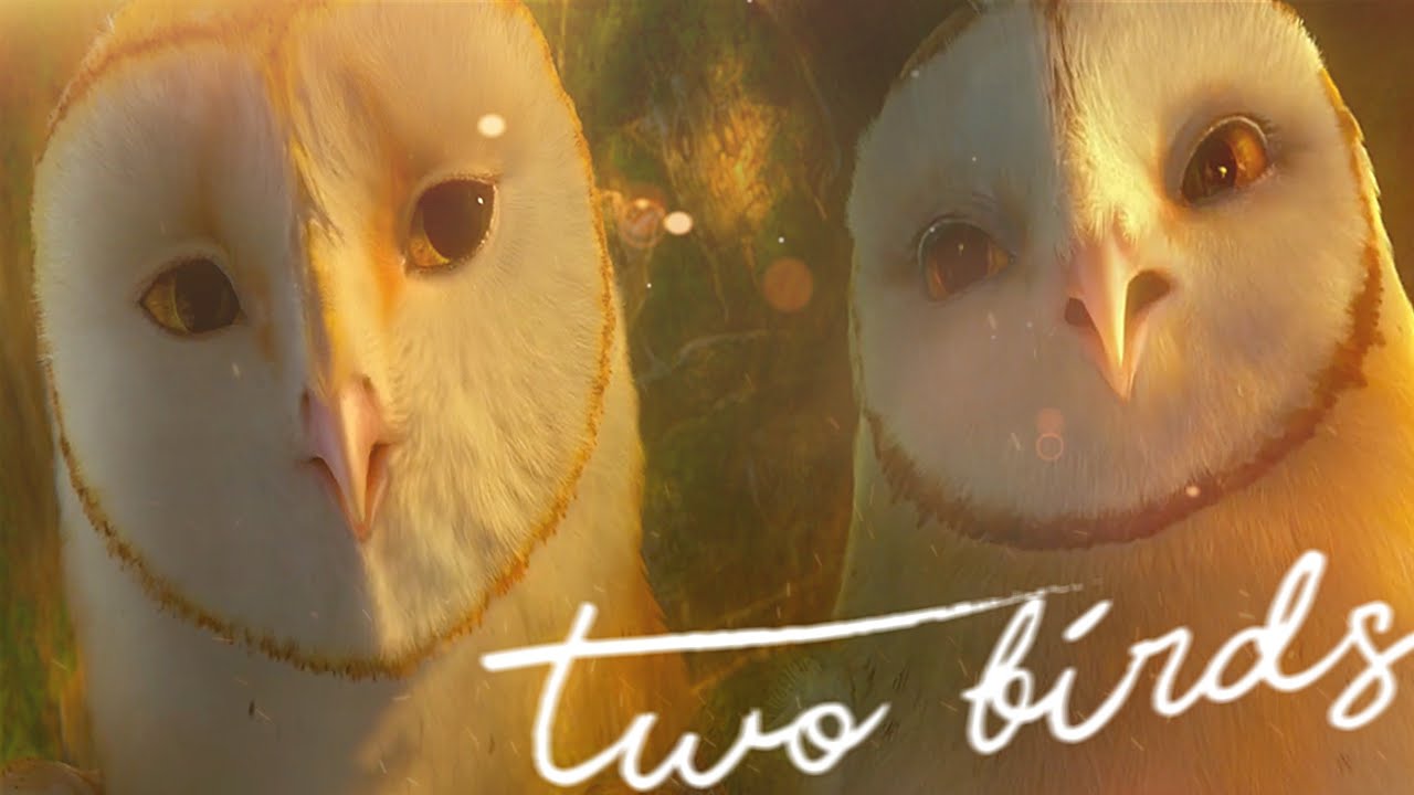 ❟ two birds ❛ Soren & Kludd