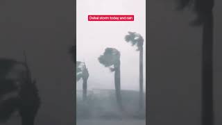 Chaos In Dubai As Uaerecords Heaviest Rainfall In 75 Years 