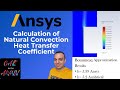 🌡️ Ansys Fluent Tutorial: Calculation of Natural Convection Heat Transfer Coefficient