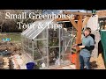 Small Greenhouse Tour & Tips