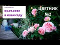 Обзор сада. Садовый архив ( Июнь 2020) Цветник №2