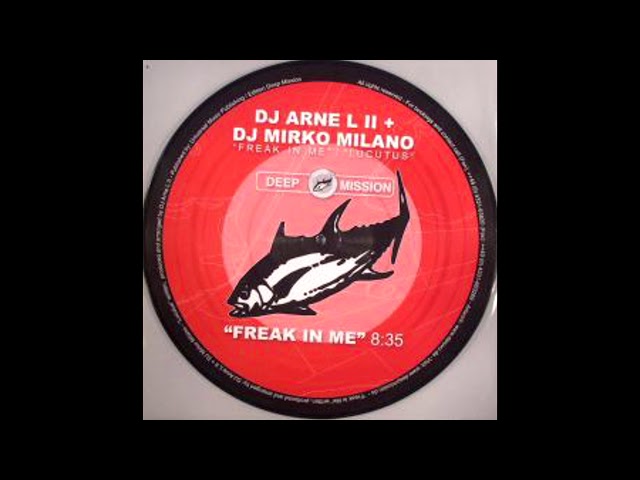 DJ Arne L II + DJ Mirko Milano - Freak In Me [HQ] - YouTube