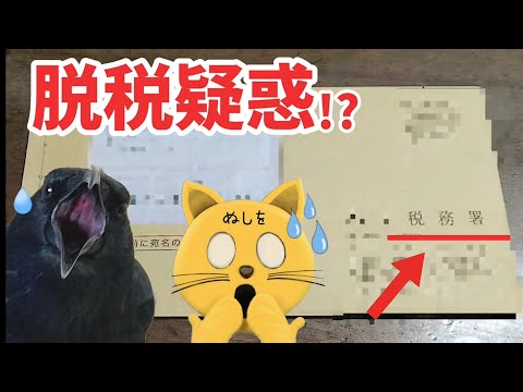 ペット記録チャンネルのユーチューブ Youtuber665