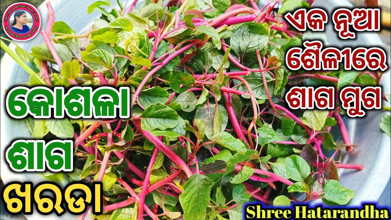 Red Amaranth Leaves Curry Recipe Odia Authentic Saga red-amaranth-leaves-curry-recipe-odia-authentic-saga