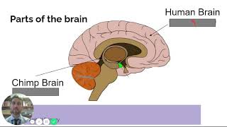 Behavioural Neuroscience (Assembly 1)