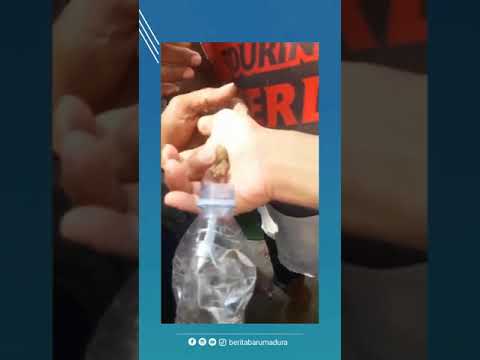 Penangkapan Tuyul Di Cirebon Shorts Beritabarumadura 