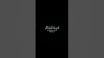 ما تيسر من سورة الإسراء | القرآن الكريم | القارئ ياسر الدوسري | كروما