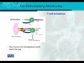 BT302 Immunology Lecture No 88