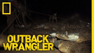 A River Full of Crocs | Outback Wrangler