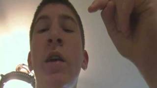 What In The World Is A 'Morph'!? -ClassyHerps