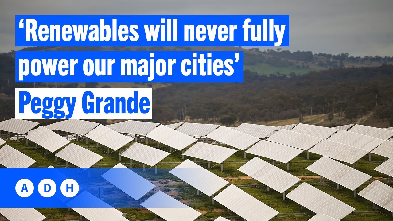 ⁣‘Renewables will never fully power our major cities’: US Report with Peggy Grande | Alan Jones