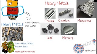 Heavy Metal Poisoning (Toxicity), Causes, Symptoms and treatment. Lead poisoning, cadmium poisoning screenshot 5