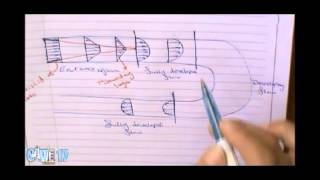 Hydraulics - Part 8 | SO17