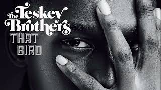 The Teskey Brothers - That Bird
