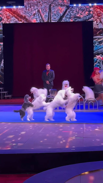 Back Flipping Dogs Do a Conga Line! | Garden Brothers Circus