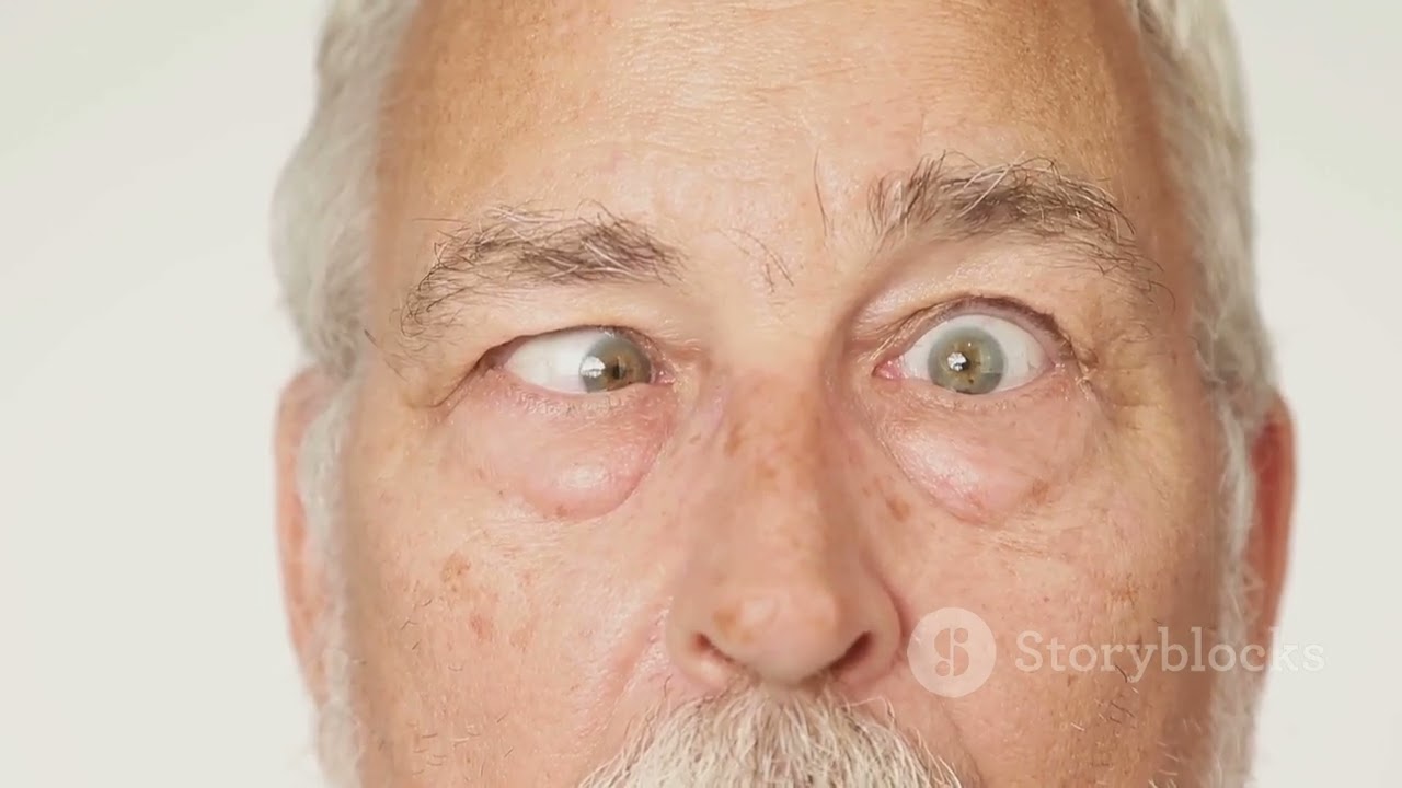 The Black Book: A Collector's Nightmare