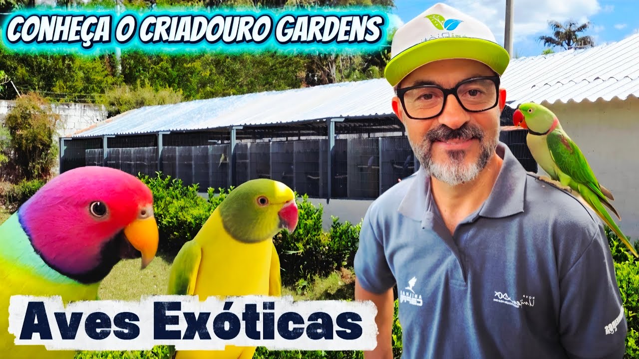 Uma Visita Fantástica ao Criadouro Gardens