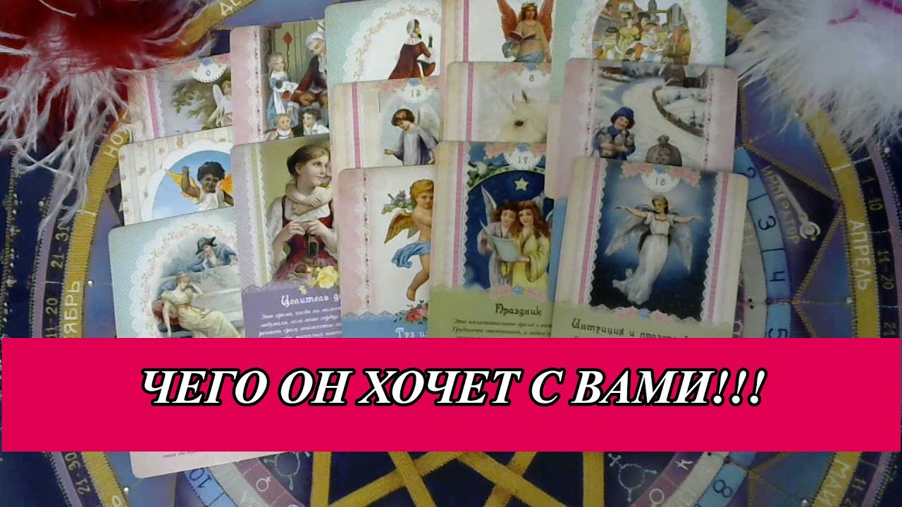 Рамир таро видео